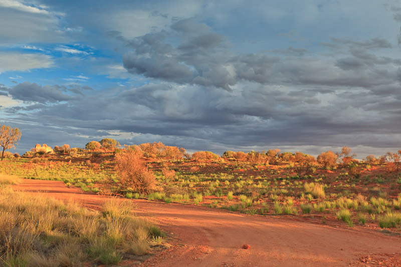 Outback