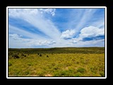 IMG_0124
