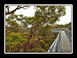 IMG_0330