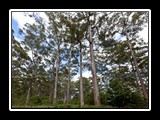 IMG_0448