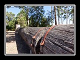 IMG_0467