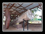 IMG_0474