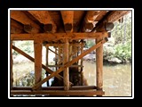 IMG_0491