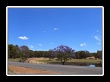 IMG_0497